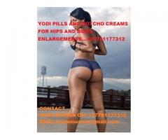 BABA MUMBA’S YODI PILLS…+27781177312